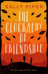 geography of friendship high res
